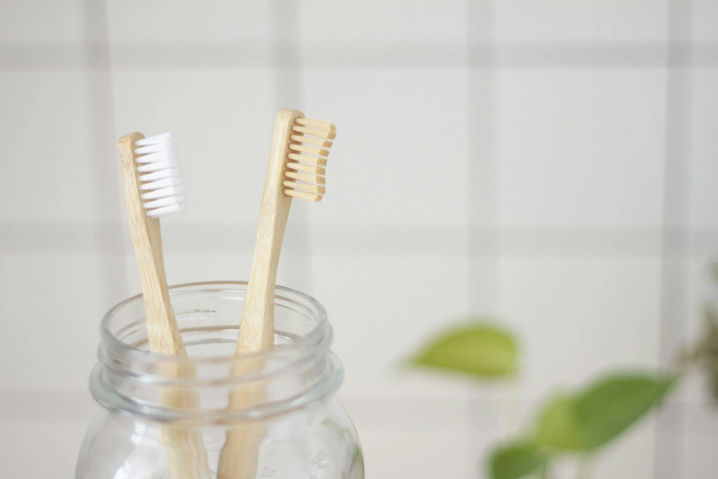 Bamboo toothbrushes in jar representing preventive dental care